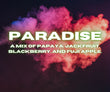 Paradise