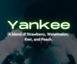 Yankee